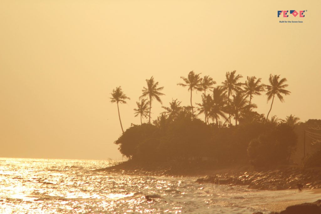 Sri Lanka aka Ceylon Pre Lockdown Adventure by Fede Surfbags
